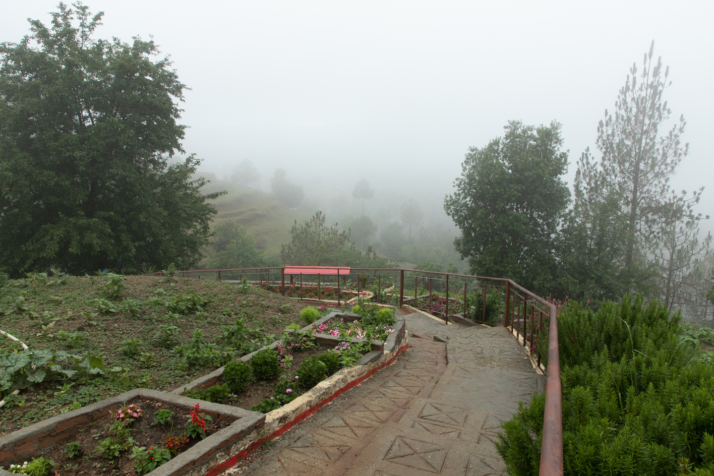 The walk down to the house through the landscape