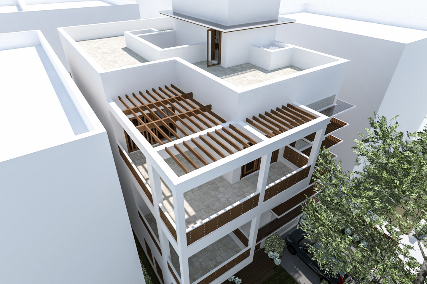 View of the trellis from above.