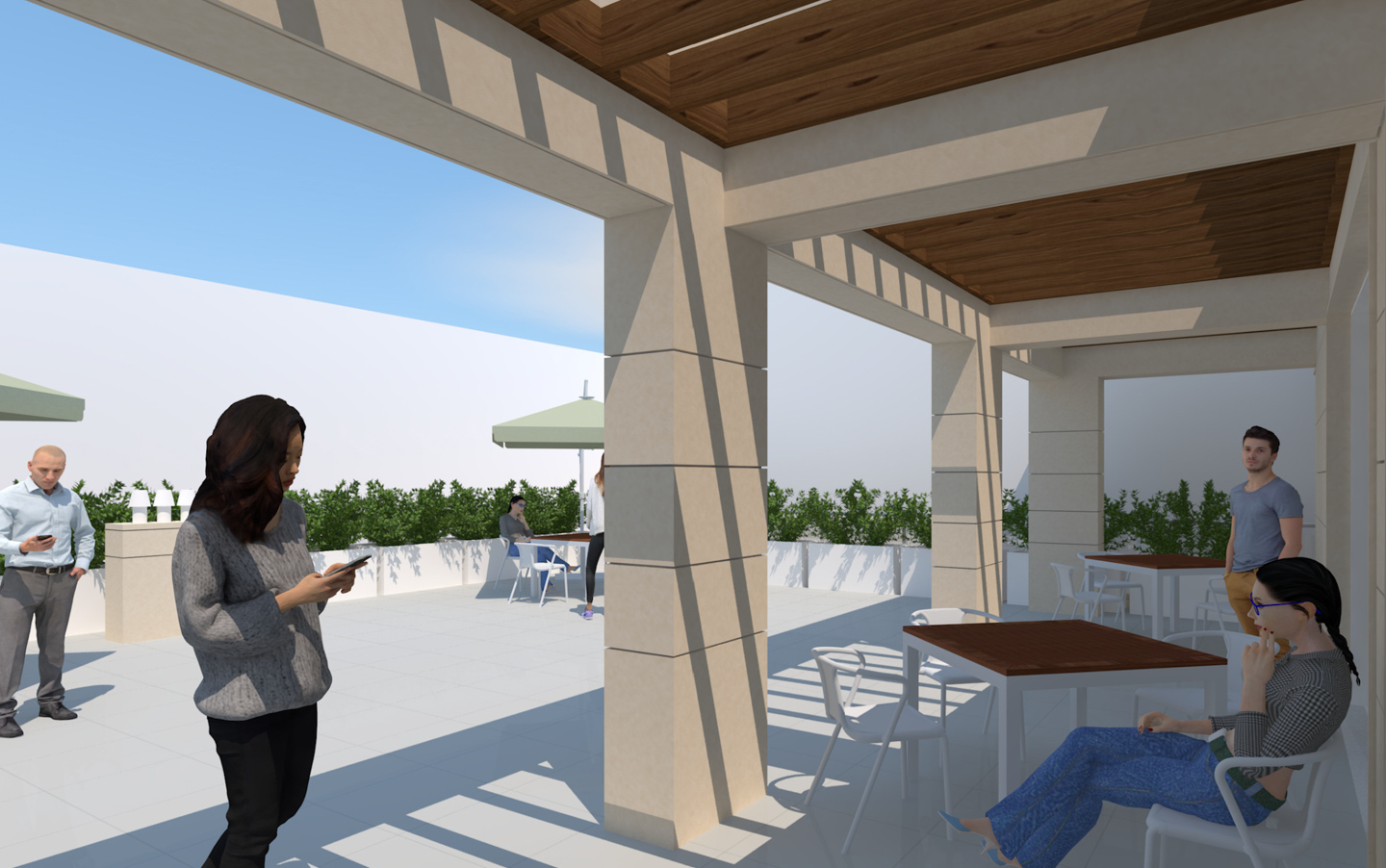 The trellis between the drawing room and the terrace. 