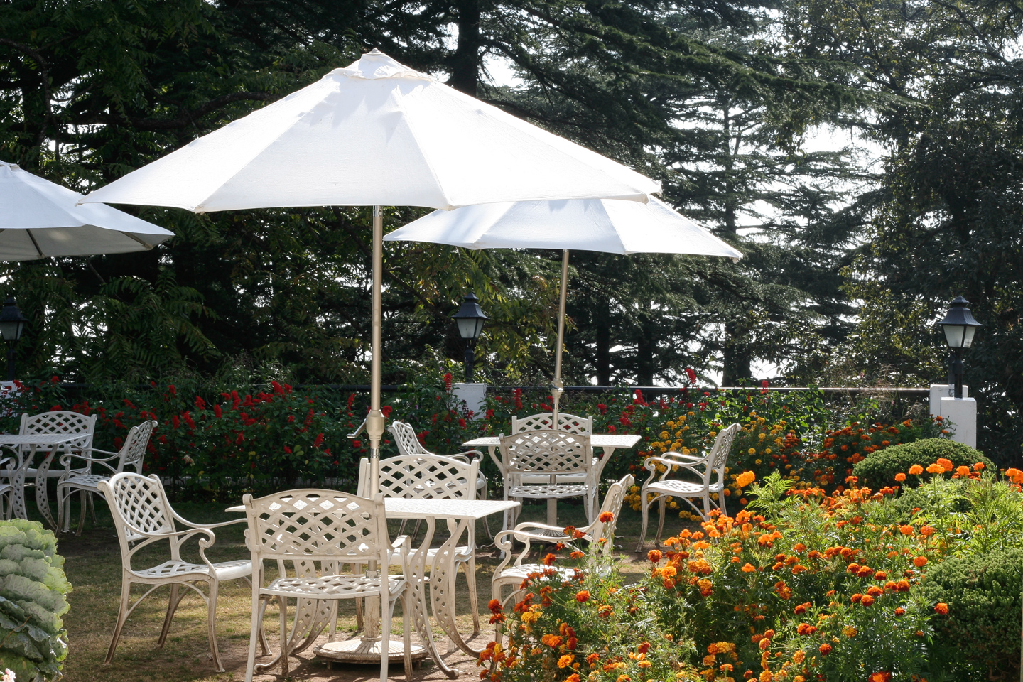 The garden has lovely old garden furniture and is surrounded by greenery.