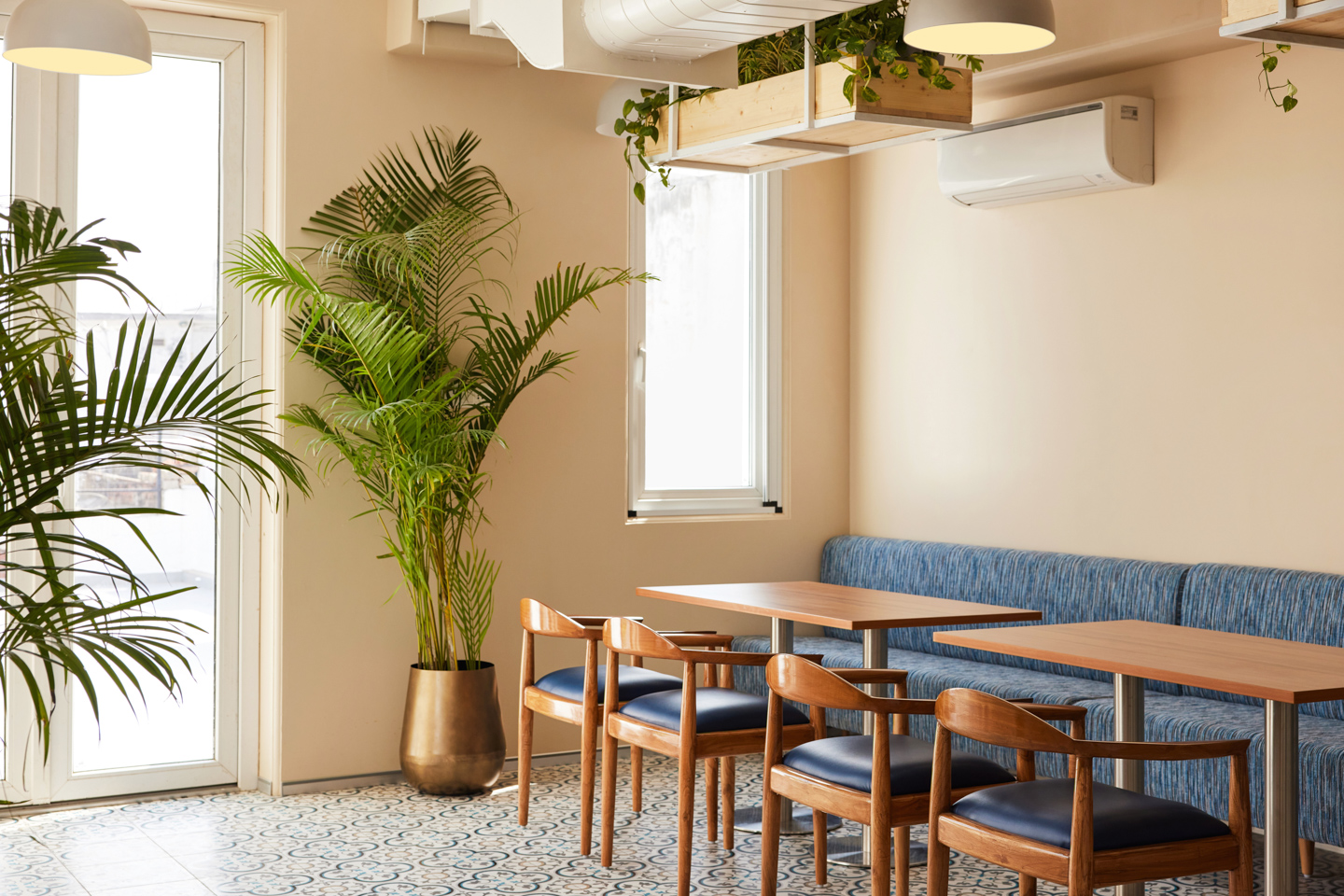The cafe.
